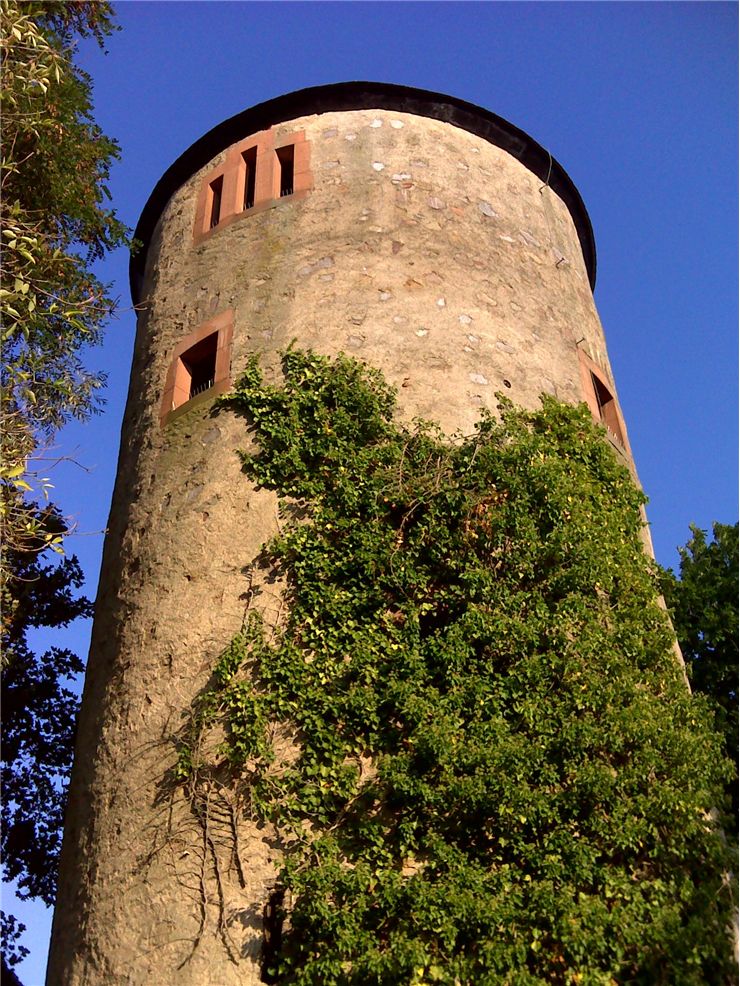 Picture Of Mill Tower