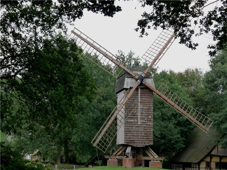 Picture Of Windmill Wing