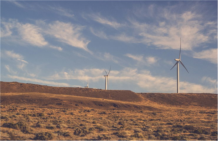 Picture Of Windmills Fields